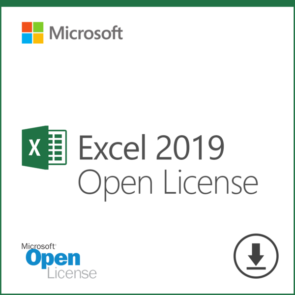 Microsoft Excel 2019 (065-08677)