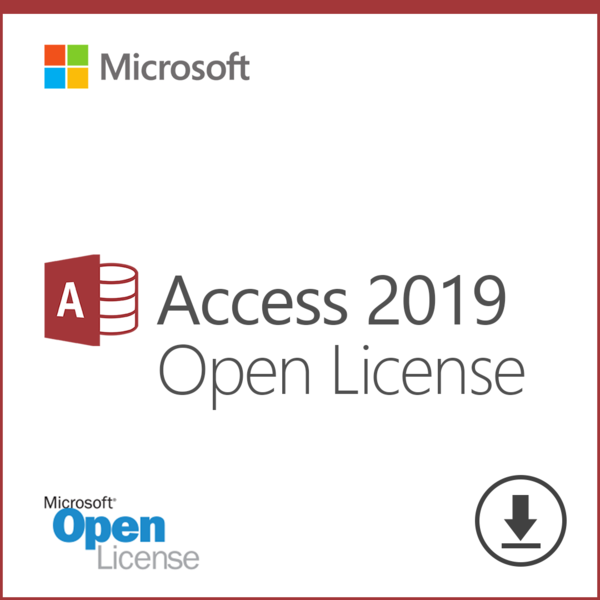 Microsoft Access 2019 (077-07233)